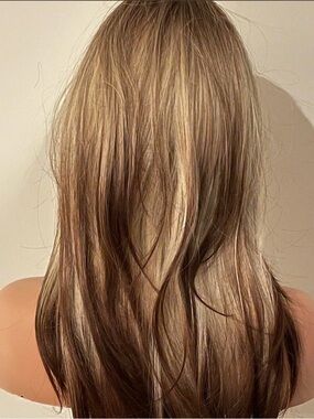 Blonde Brown Reverse Ombre Long Straight Wig - Neutral Tones